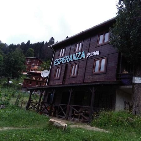 Esperanza Apart & Pension Guest House Ayder Yaylasi Exterior photo