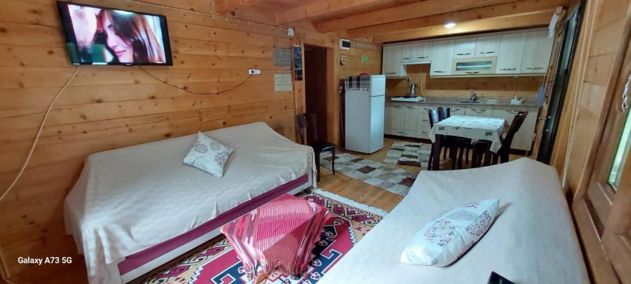 Esperanza Apart & Pension Guest House Ayder Yaylasi Exterior photo