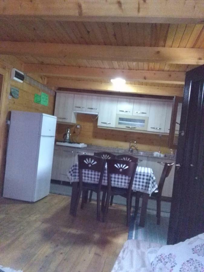 Esperanza Apart & Pension Guest House Ayder Yaylasi Exterior photo